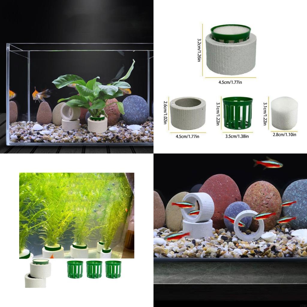 Aquarium Planted Background - 37ME 10Pcs 수족관 식물 고정 반지