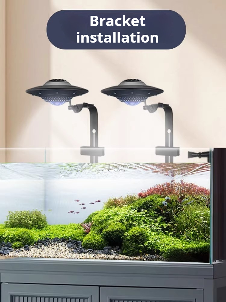 Planted Aquarium For Goldfish - UFO 어항 조명, 수생 식물 및