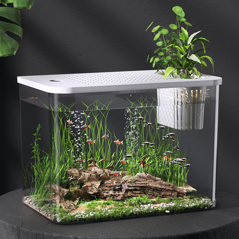 Planted Aquarium For Goldfish - 뚜껑이 있는 플라스틱 어항, 투명 미니