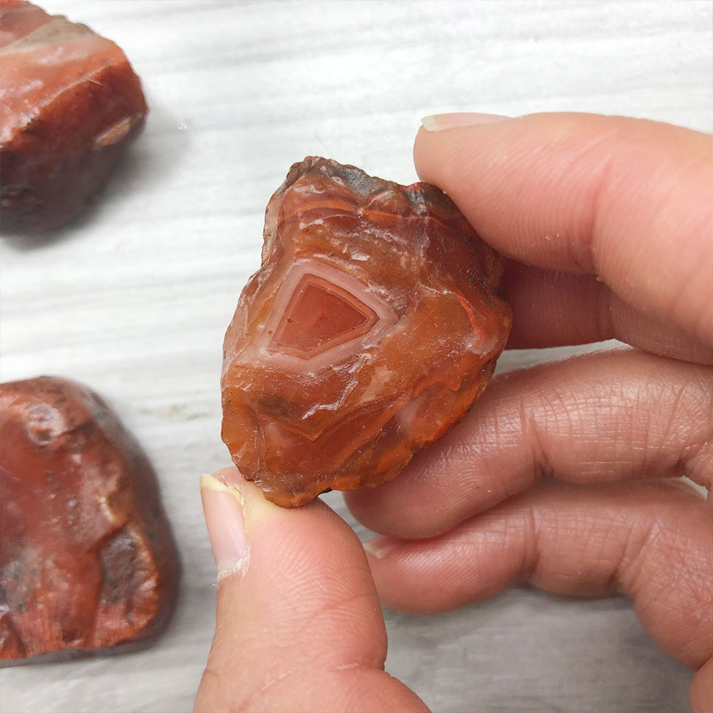 Aquarium Plant Red - 1pc 무작위 거친 원시 Carnelian 붉은