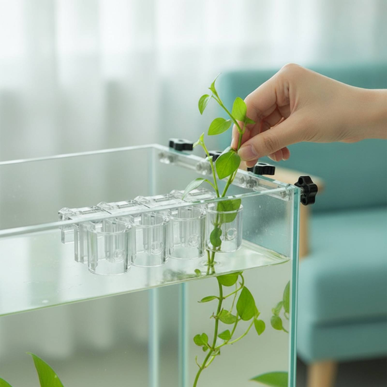 6개 수족관 플랜터 투명 수경 재배 지지 클립(나사 포 - Aquarium Planted 리뷰 및 가격