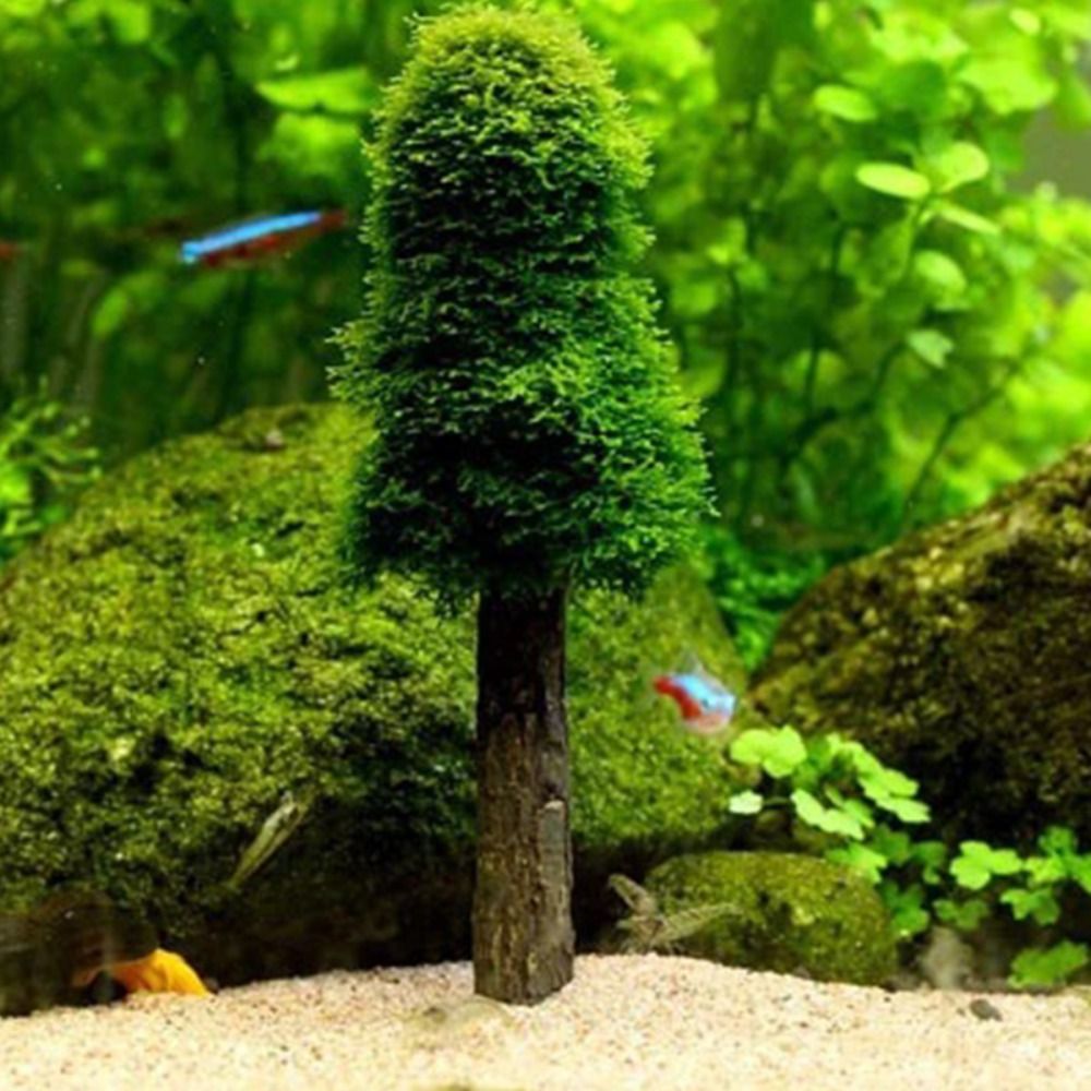 시뮬레이션 크리스마스 트리 수족관 이끼 식물 홀더 미니 - Aquarium Planted Background 리뷰 및 가격