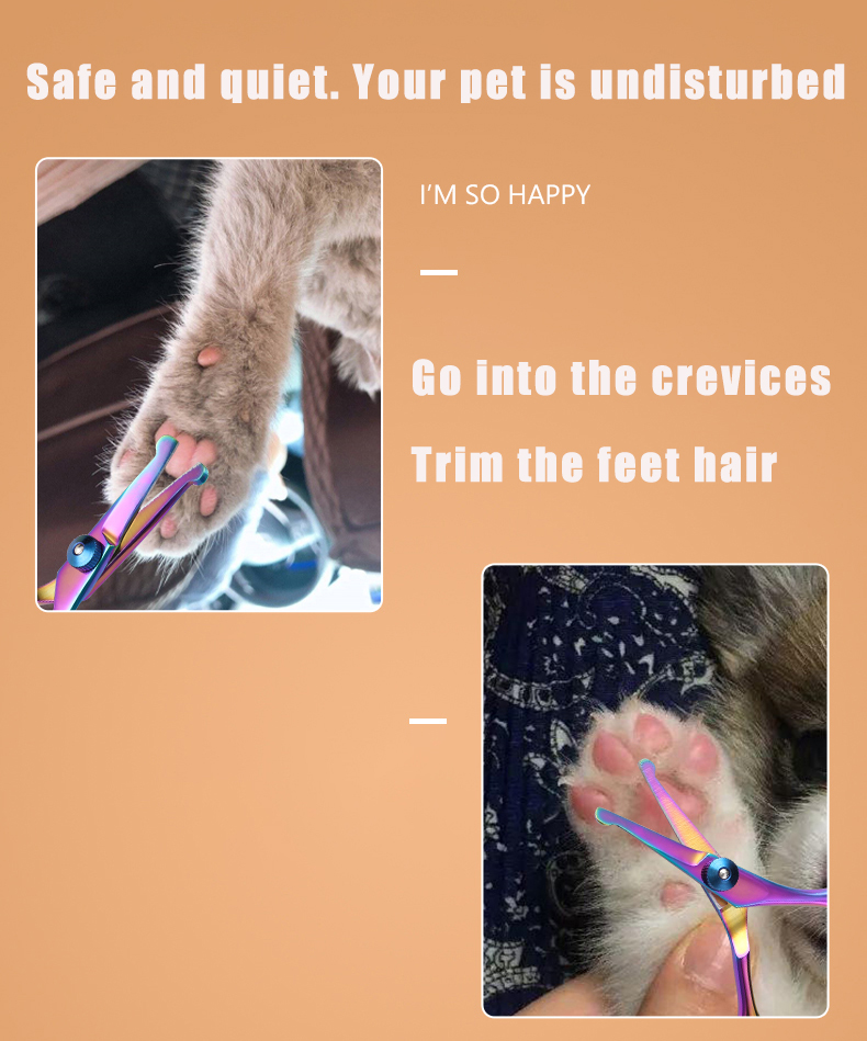 안전한 둥근 머리 스테인리스 애완동물 가위, 개와 고양 - Trimming Scissor Set 리뷰 및 가격