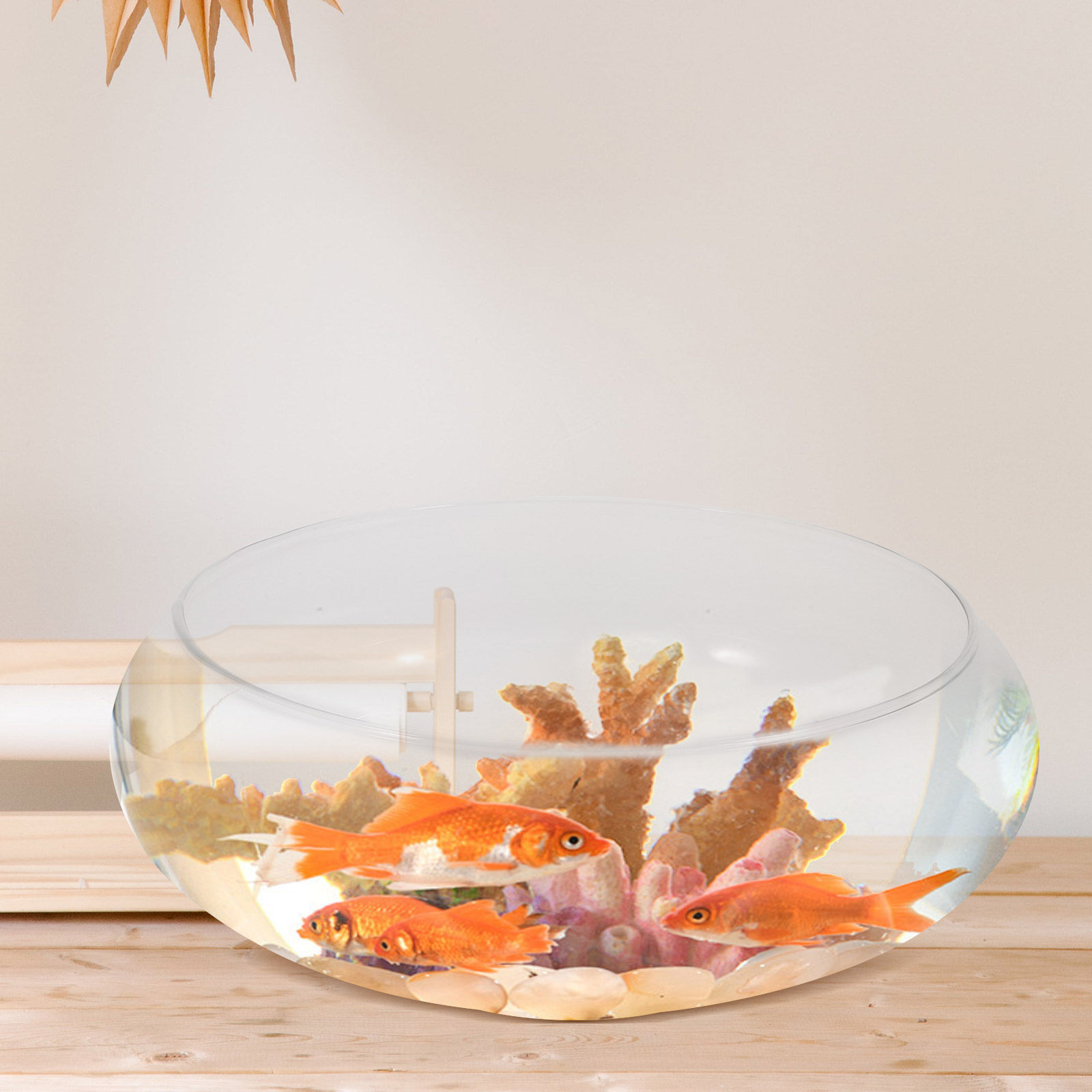 유리 물고기 어항, 작은 물고기용 어항, 책상용 수족관 - Planted Aquarium For Goldfish 리뷰 및 가격