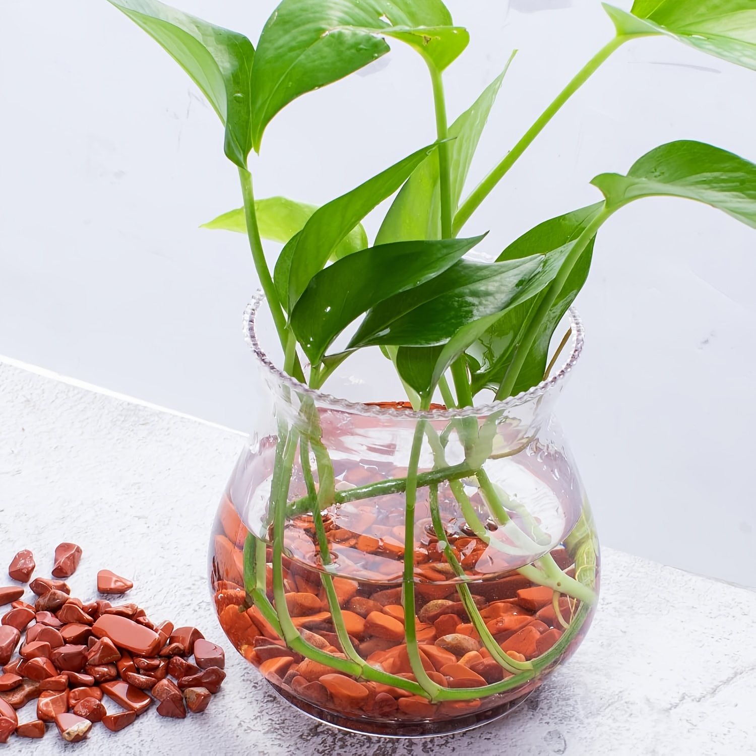 레드 재스퍼 텀블 스톤 - 천연 석영 조각, 꽃병 채우 - Aquarium Plant Red 리뷰 및 가격