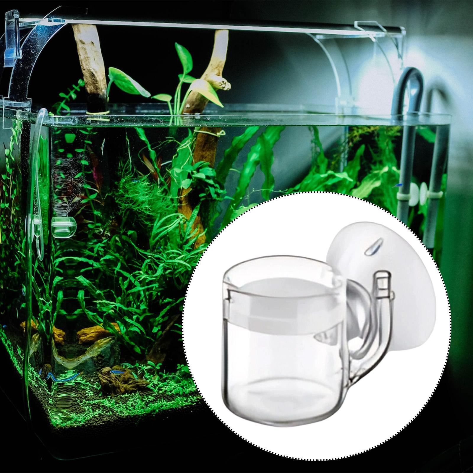 CO2 수족관 디퓨저 유리 재질 기포 계수기 수생 식물 - Aquarium Planted Set Up 리뷰 및 가격