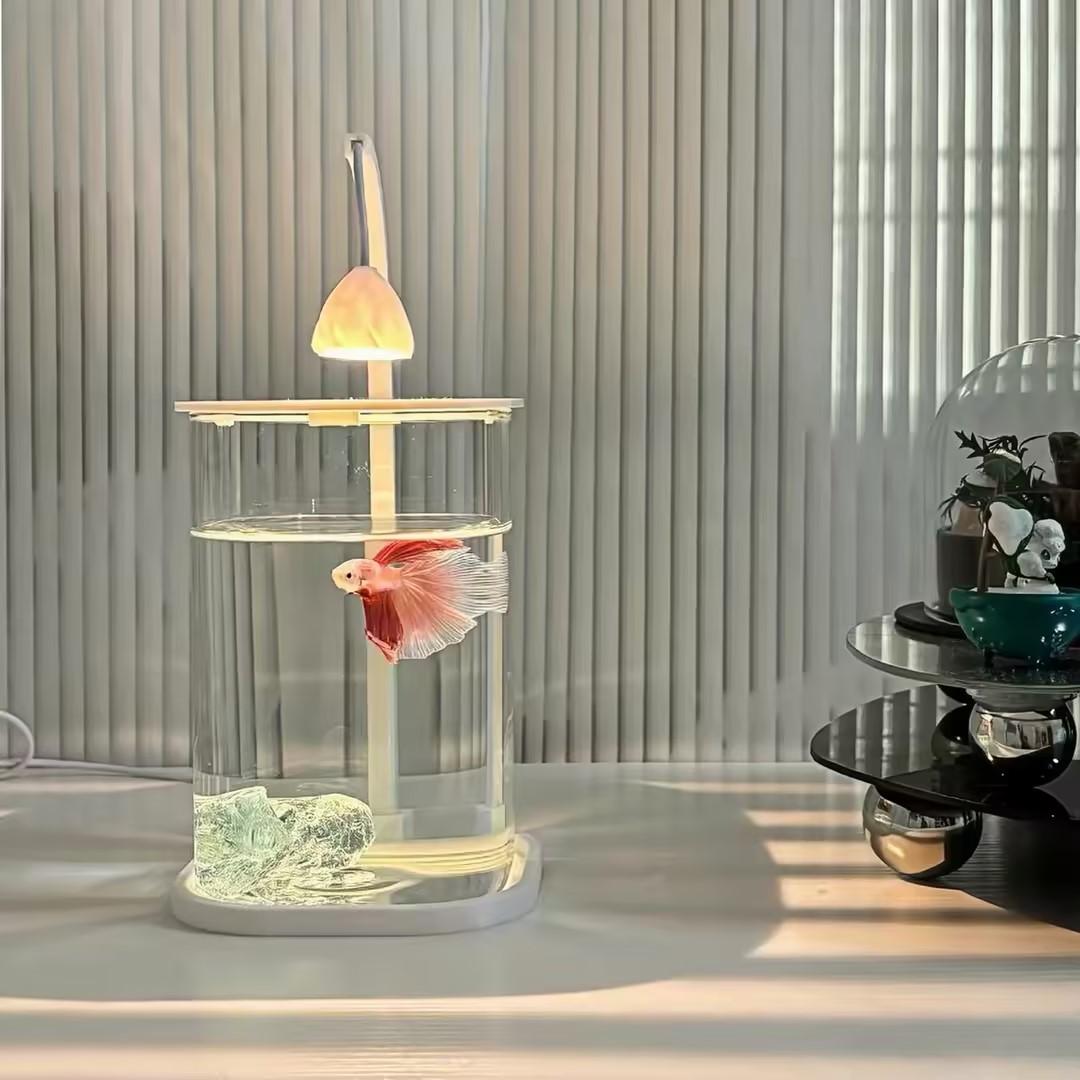 360 °   파노라마 투명 데스크탑 어항 미니 수족관 - Planted Aquarium For Goldfish 리뷰 및 가격