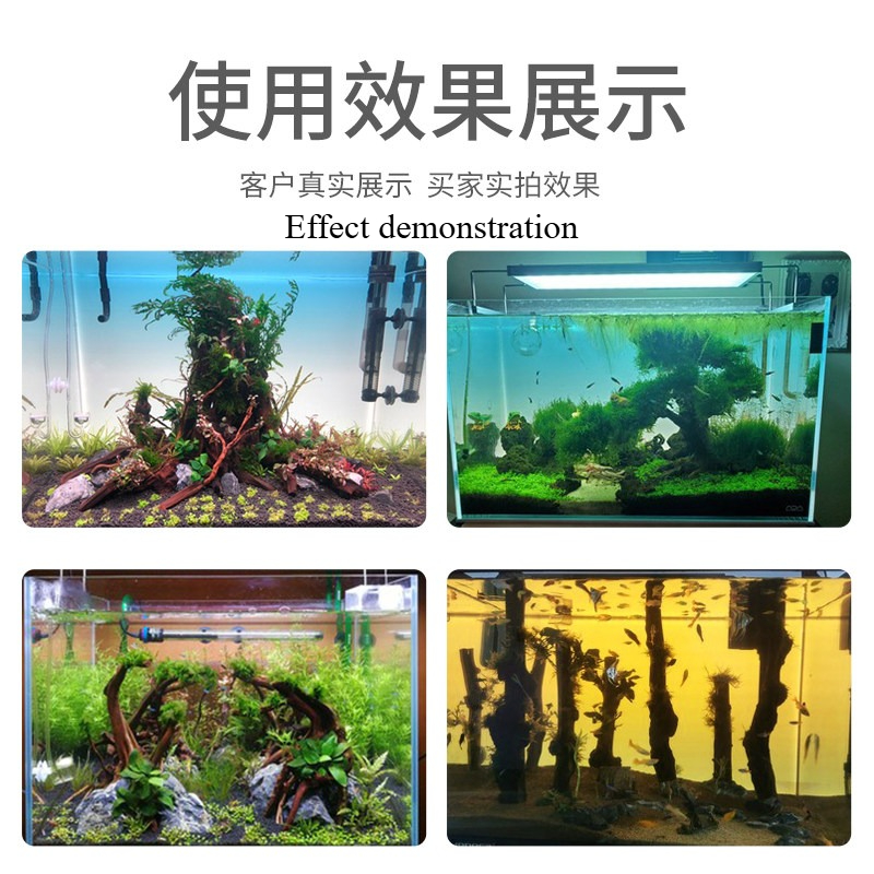 맞춤형 LED 수족관 배경 패널, RGB 컬러 그라데이 - Aquarium Planted Background 리뷰 및 가격