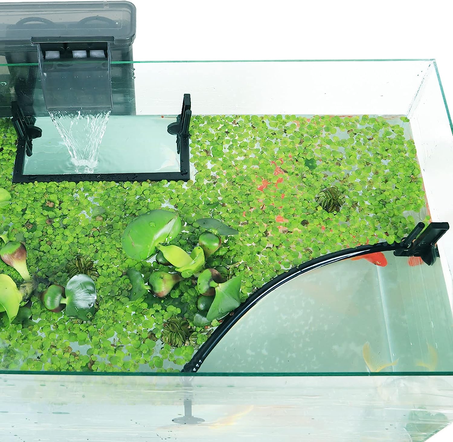 수족관 부동 식물 마구간, 필터 및 히터에서 부동 식물 - Planted Aquarium Heater 리뷰 및 가격