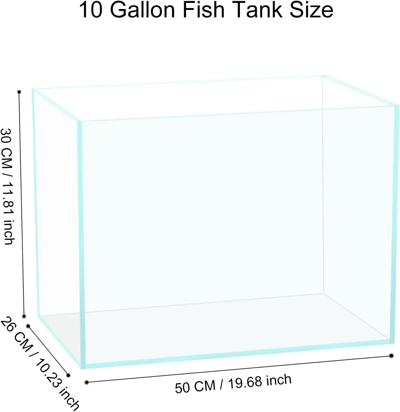 10갤런 유리 어항, 관리가 쉬운 소형 수족관 (베타/ - Planted Aquarium For Goldfish 리뷰 및 가격