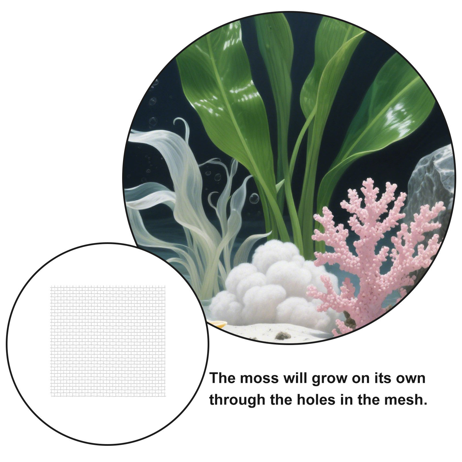 12개입 스테인리스 스틸 와이어 메시 패드, 수족관용  - Aquarium Planted Set Up 리뷰 및 가격