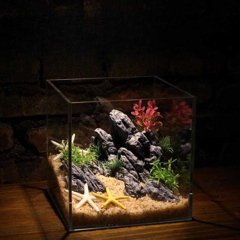 수족관 장식 시뮬레이션 스톤 록어리 풍경 수생 식물 장 - Aquarium Planted Set Up 리뷰 및 가격