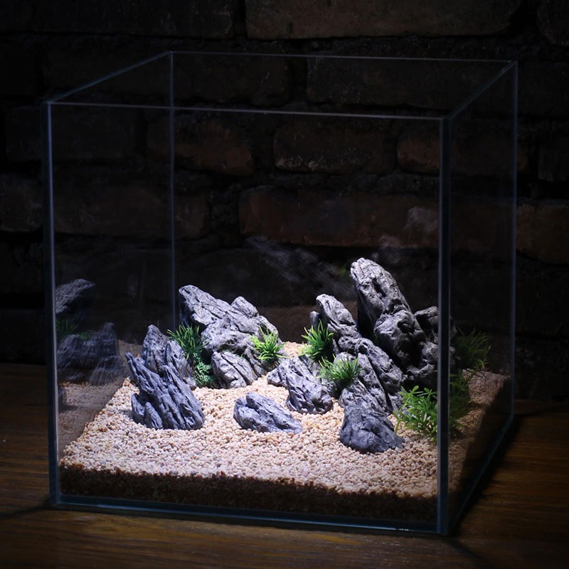 수족관 장식 시뮬레이션 스톤 록어리 풍경 수생 식물 장 - Aquarium Planted Set Up 리뷰 및 가격