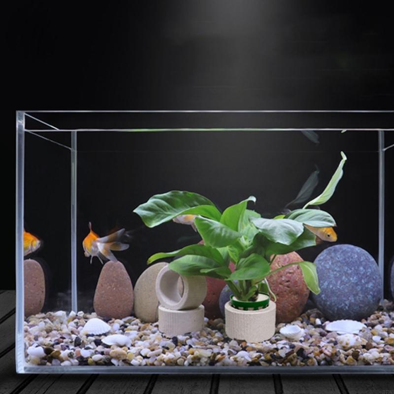 37ME 10Pcs 수족관 식물 고정 반지 세트 바구니 - Aquarium Planted Background 리뷰 및 가격