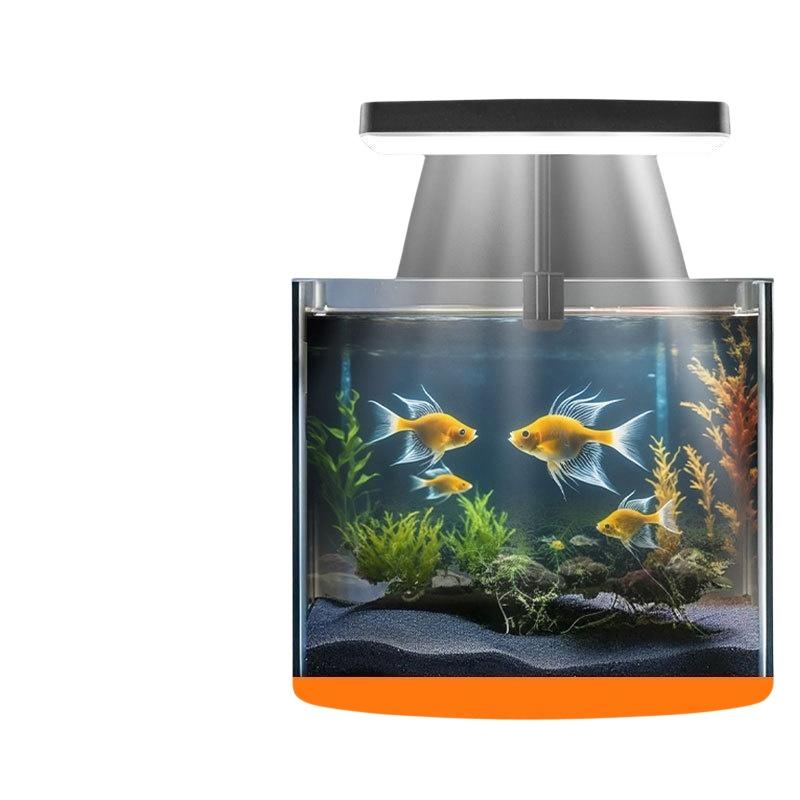 USB 수족관 클립 조명, 가정 사무실 데스크탑 어항  - Aquarium Planted 리뷰 및 가격