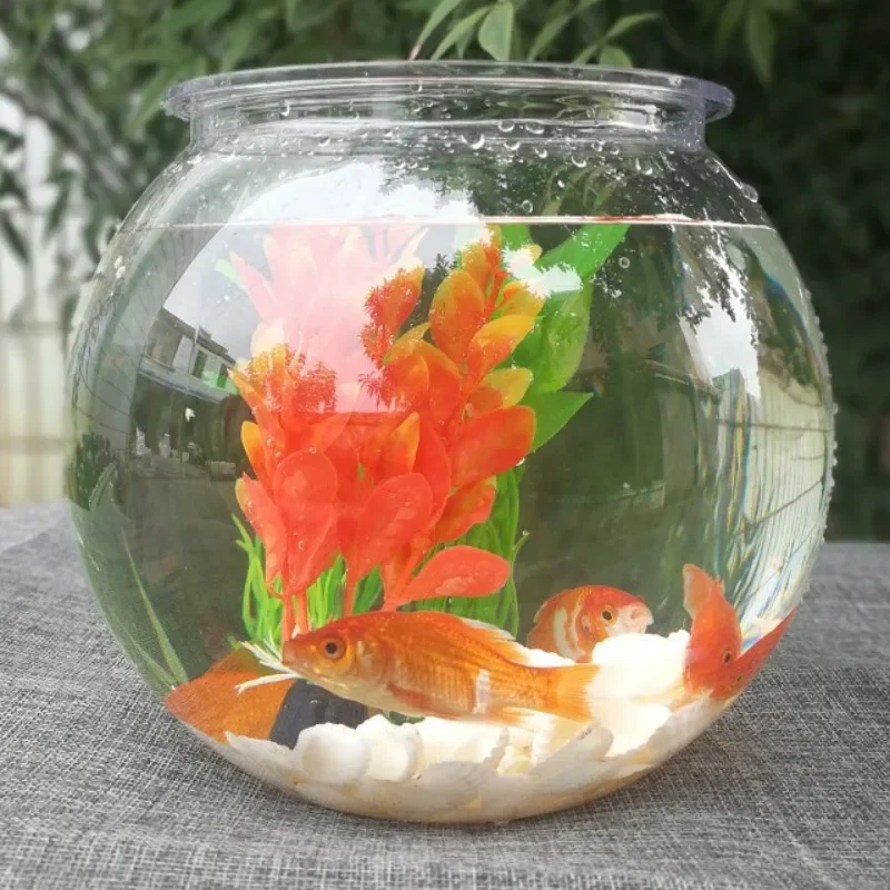 금붕어 어항 탁상용 투명 플라스틱 수조 원형 탱크 거북 - Planted Aquarium For Goldfish 리뷰 및 가격