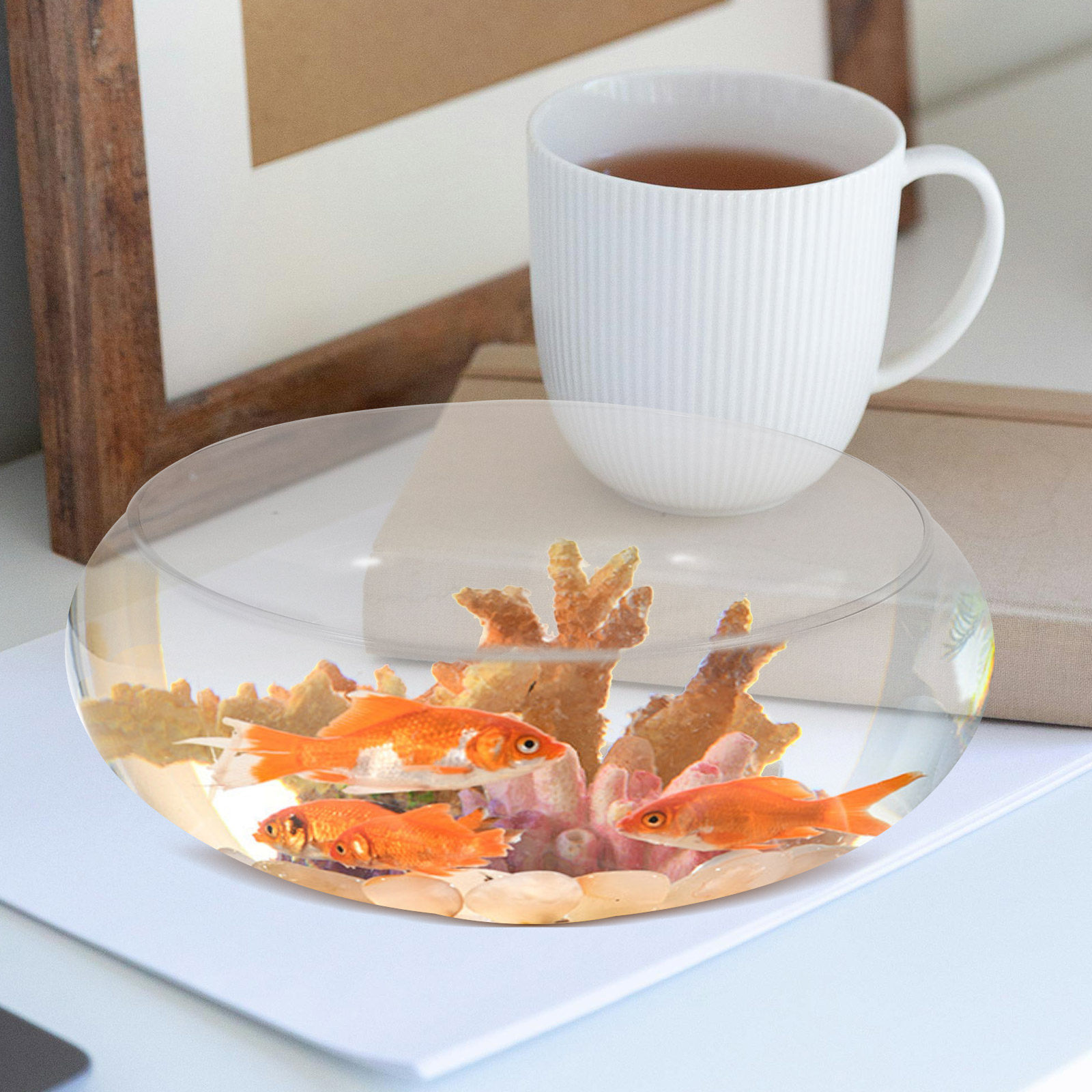 투명한 유리 어항, 책상용 수족관, 둥근 모양의 금붕어 - Planted Aquarium For Goldfish 리뷰 및 가격