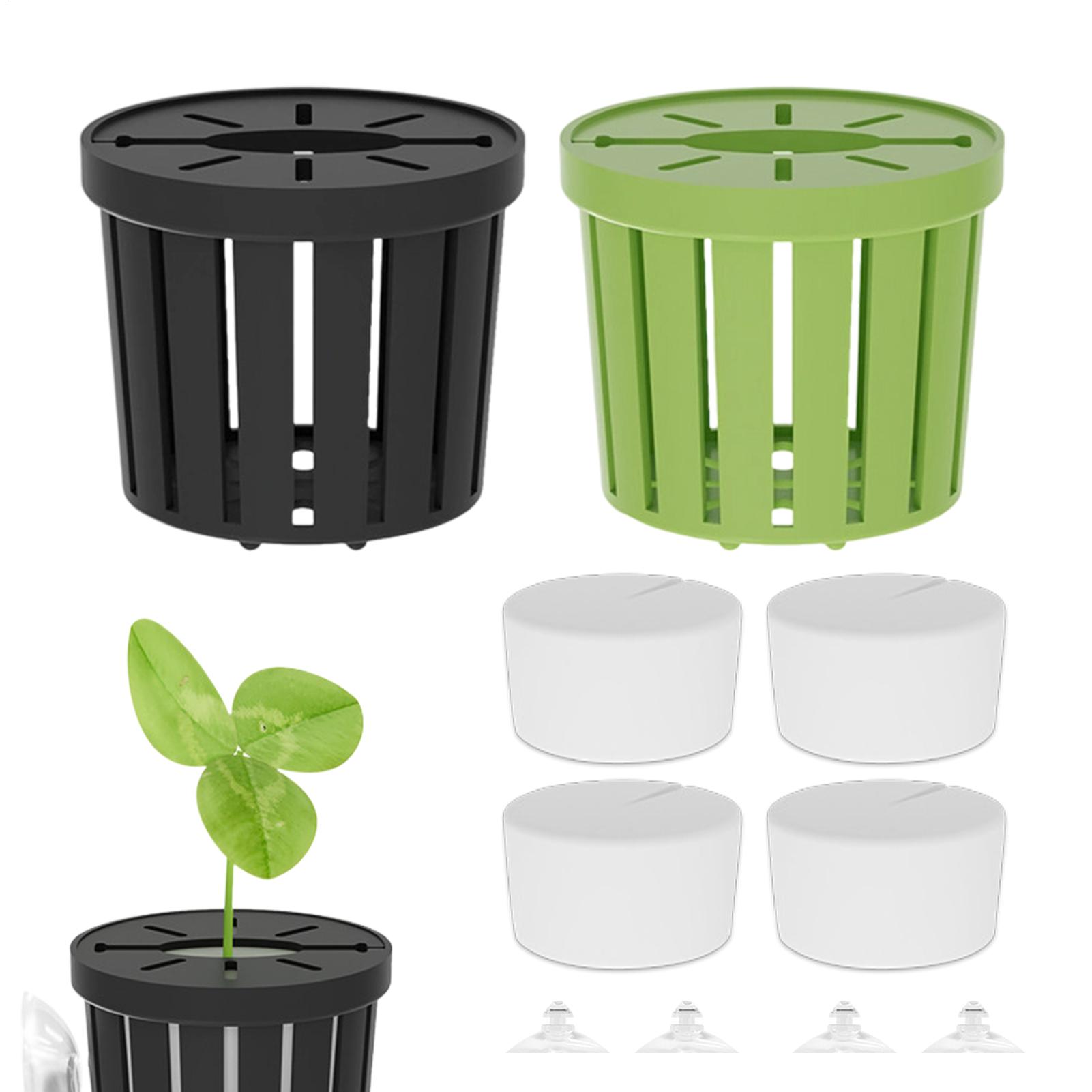 4개입 수생 식물 고정 세트, 흡착컵이 있는 수족관 식 - Aquarium Planted Background 리뷰 및 가격