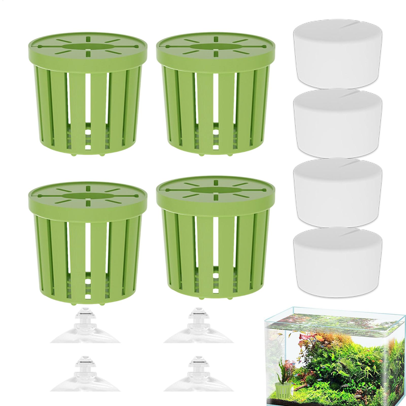 4개입 수생 식물 고정 세트, 흡착컵이 있는 수족관 식 - Aquarium Planted Background 리뷰 및 가격