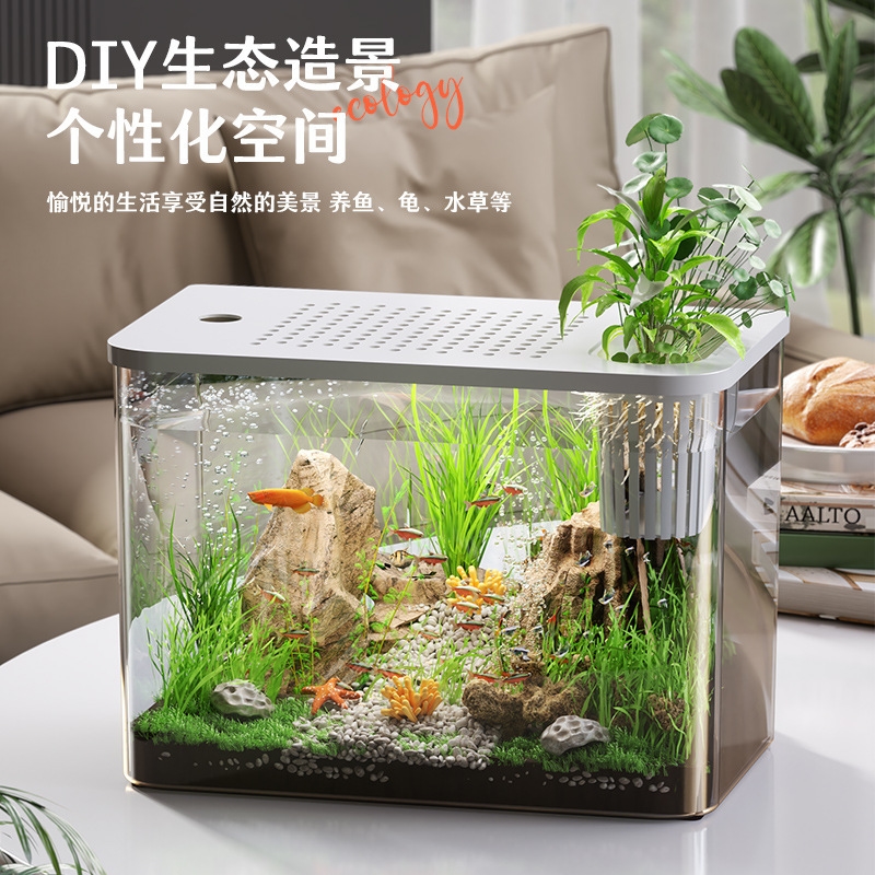 뚜껑이 있는 플라스틱 어항, 투명 미니 데스크탑 어항  - Planted Aquarium For Goldfish 리뷰 및 가격