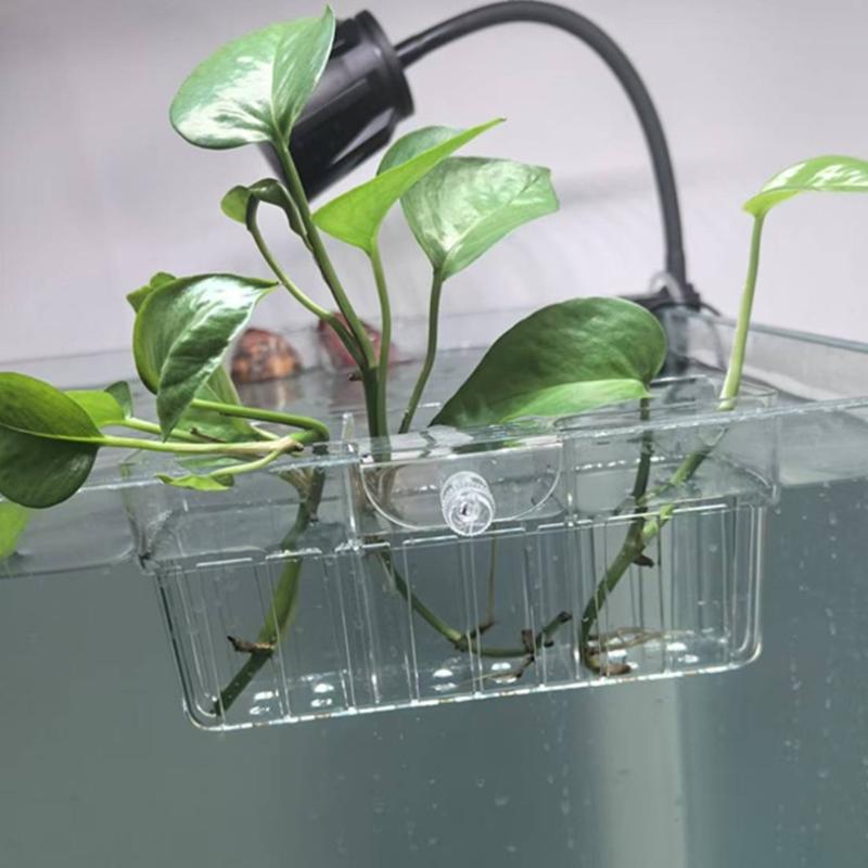 수경재배 식물 바구니 식품 등급 수생 식물 홀더 1개입 - Aquarium Planted 리뷰 및 가격