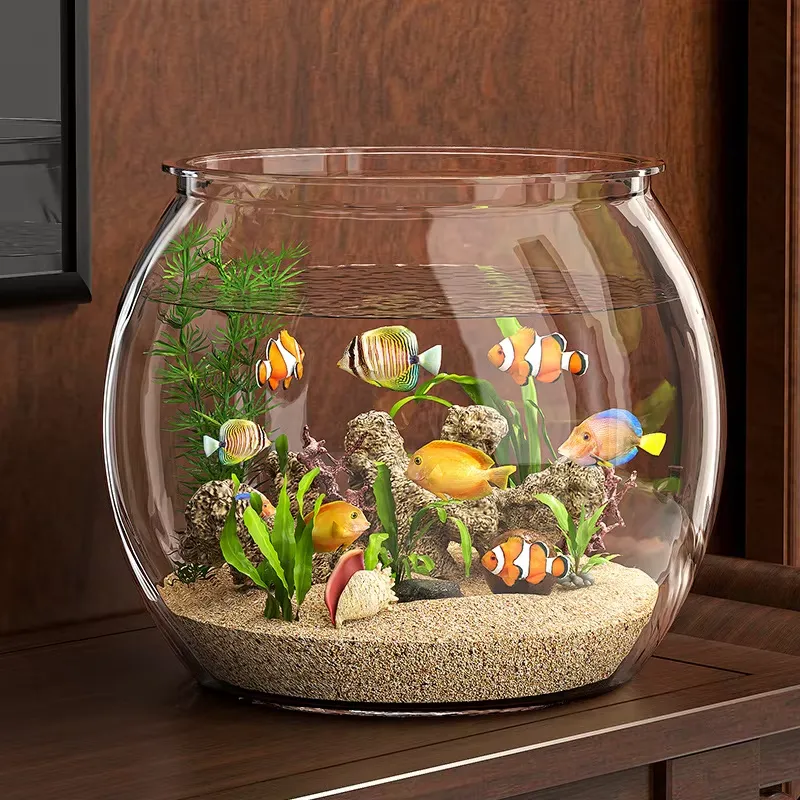 고품질 컴팩트 투명 플라스틱 테이블탑 수족관 (거실용  - Planted Aquarium For Goldfish 리뷰 및 가격