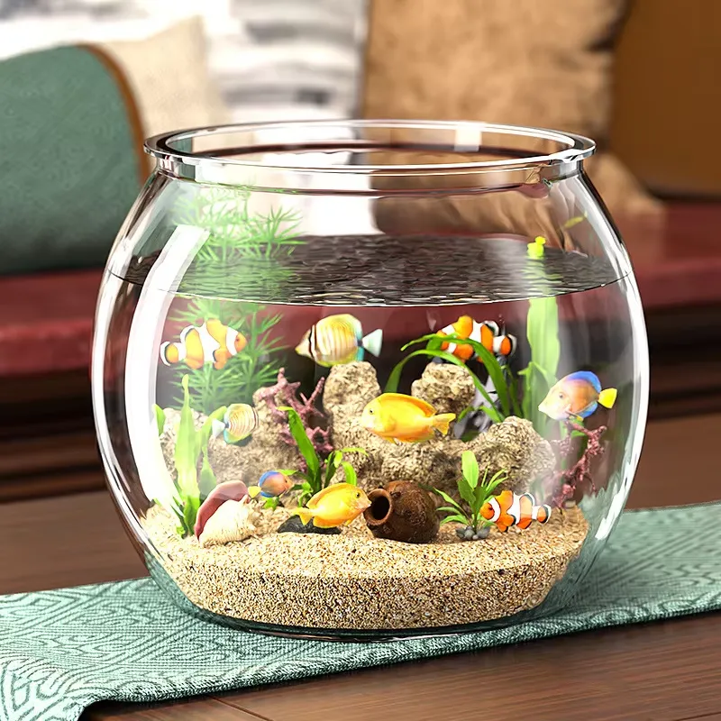 고품질 컴팩트 투명 플라스틱 테이블탑 수족관 (거실용  - Planted Aquarium For Goldfish 리뷰 및 가격