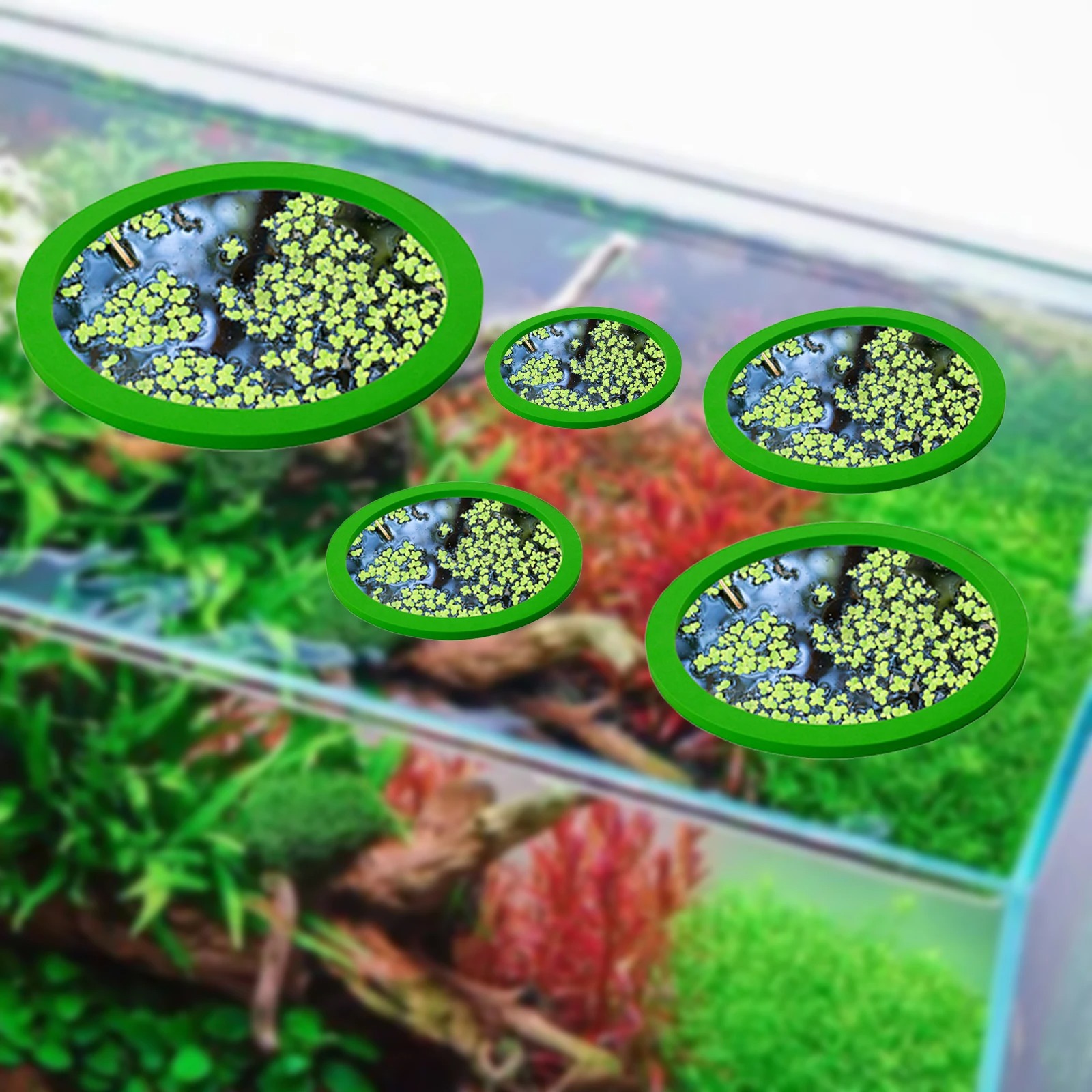 EVA 물고기 먹이 고리 수족관 플로팅 식물, 코랄 어 - Aquarium Planted 리뷰 및 가격