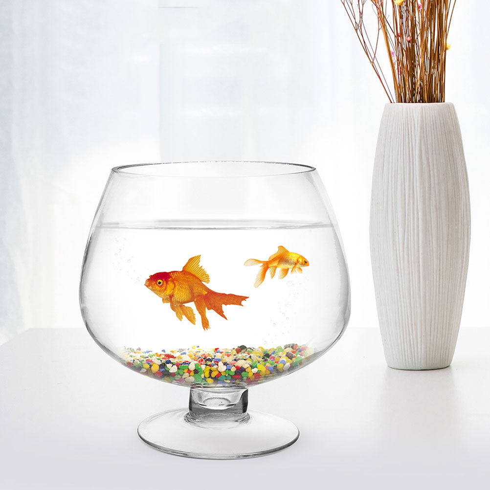 투명한 유리 재질의 베타 어항 2개 세트, 책상용, 금 - Planted Aquarium For Goldfish 리뷰 및 가격