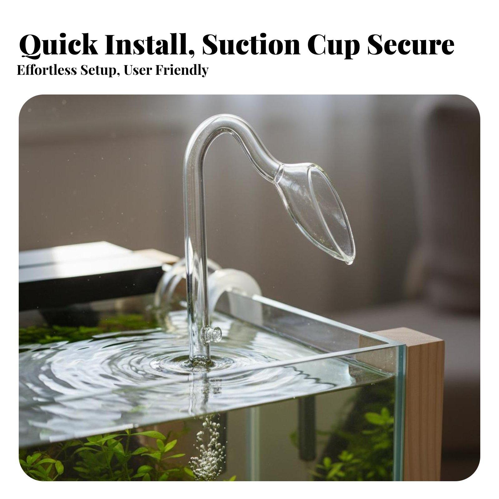 투명도가 높은 유리 재질의 어항용 릴리 스키머, 어항용 - Aquarium Planted Set Up 리뷰 및 가격
