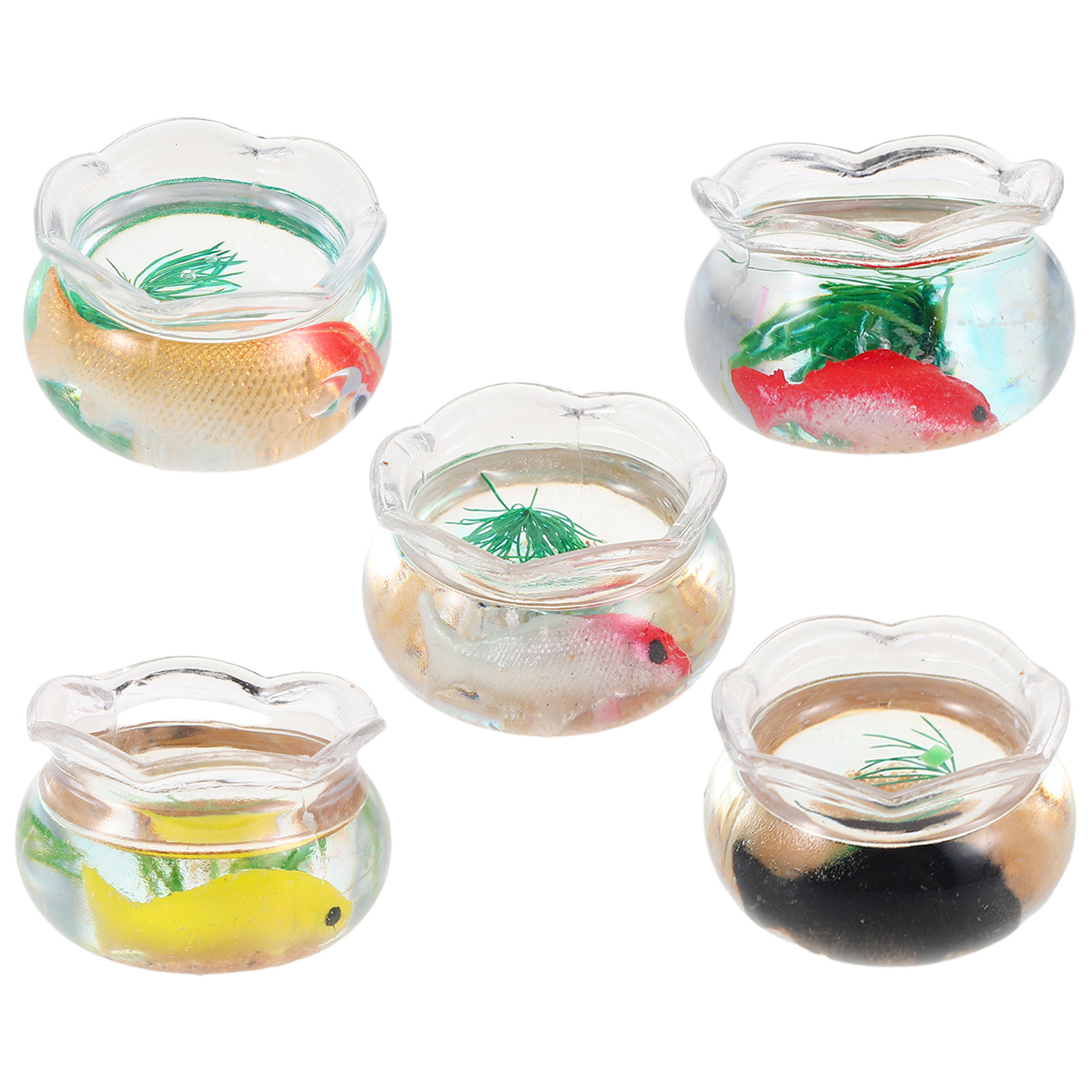 미니 물고기 어항 5개 세트, 작은 원형 금붕어 어항, - Aquarium Planted 리뷰 및 가격