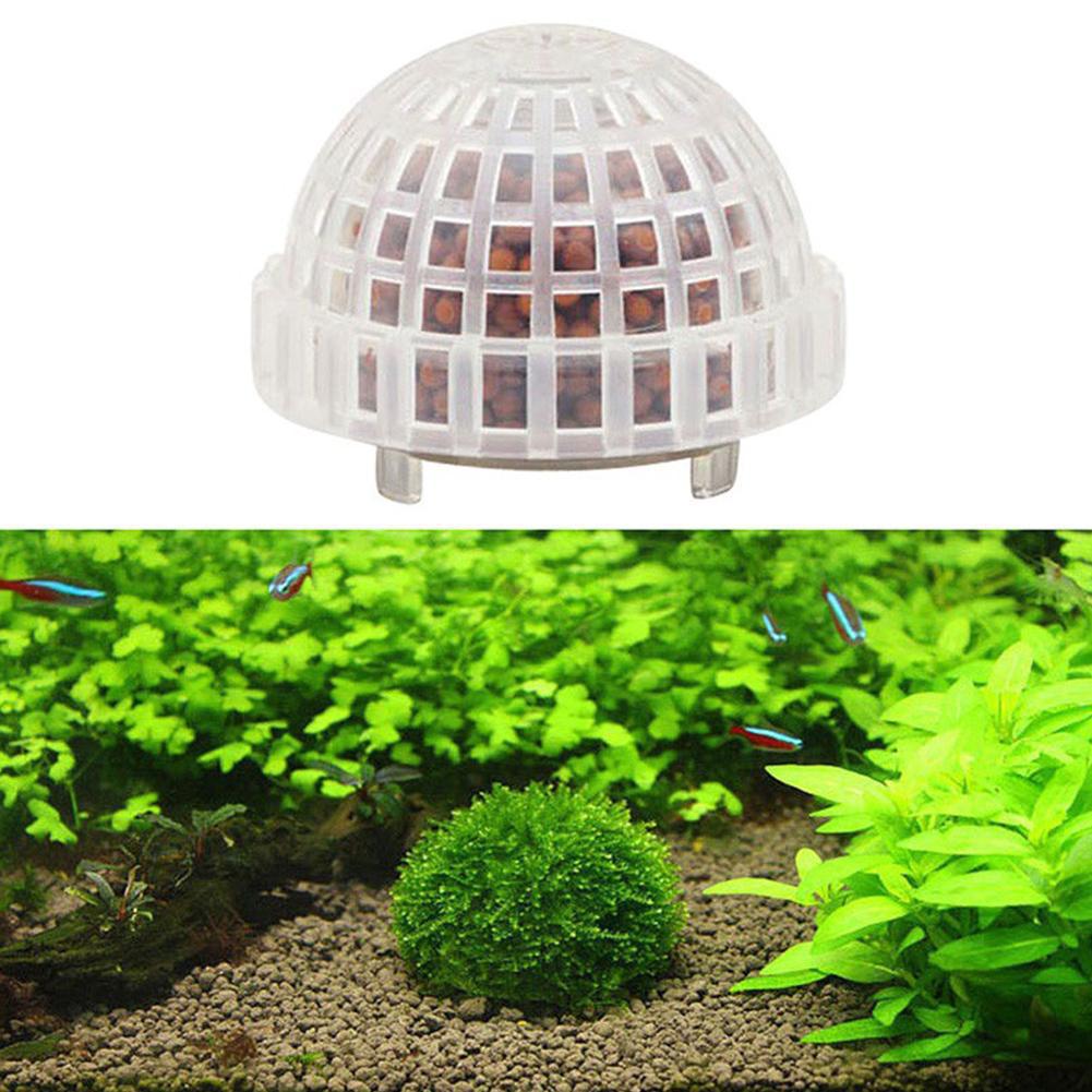 1-5PCS 수족관 장식 식물 수족관 용 바이오 모스  - Aquarium Planted Background 리뷰 및 가격