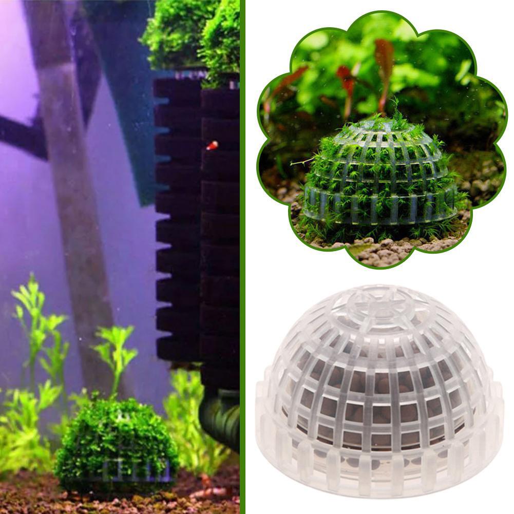 수족관 장식 식물 바이오 모스 볼 홀더 수족관 크리스탈 - Aquarium Plant Red 리뷰 및 가격