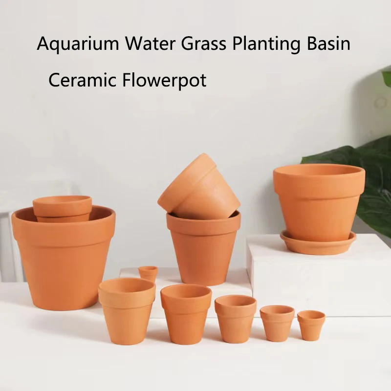 붉은 진흙 수족관 장식, 물 잔디 물고기 탱크 미니 냄 - Aquarium Plant Red 리뷰 및 가격