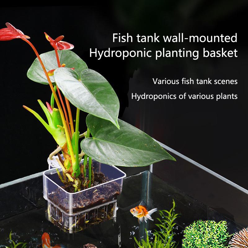 수족관 수경 재배 컵 2 5 10개입 수생 식물 재배용 - Aquarium Planted Set Up 리뷰 및 가격