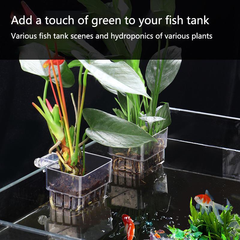 수족관 수경 재배 컵 2 5 10개입 수생 식물 재배용 - Aquarium Planted Set Up 리뷰 및 가격