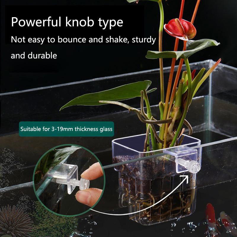 수족관 수경 재배 컵 2 5 10개입 수생 식물 재배용 - Aquarium Planted Set Up 리뷰 및 가격