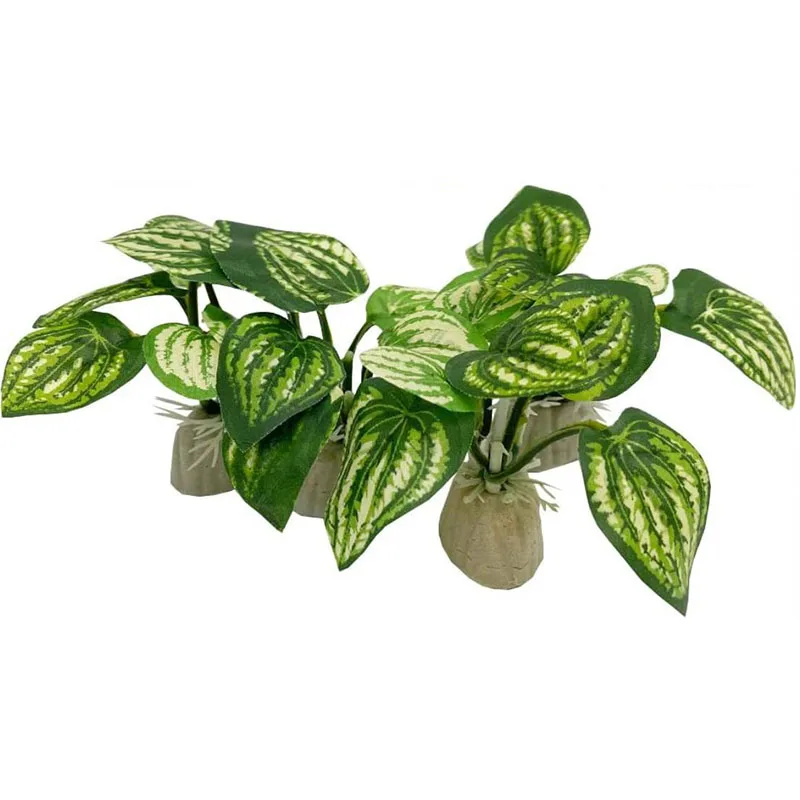 작은 수중 잔디 수족관 물고기 탱크 시뮬레이션 장식 수 - Aquarium Planted Background 리뷰 및 가격